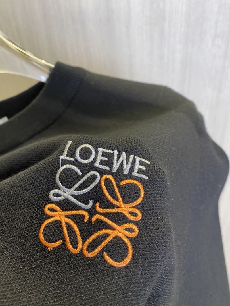 Loewe Sweaters